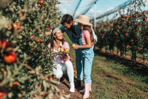 family picking apples